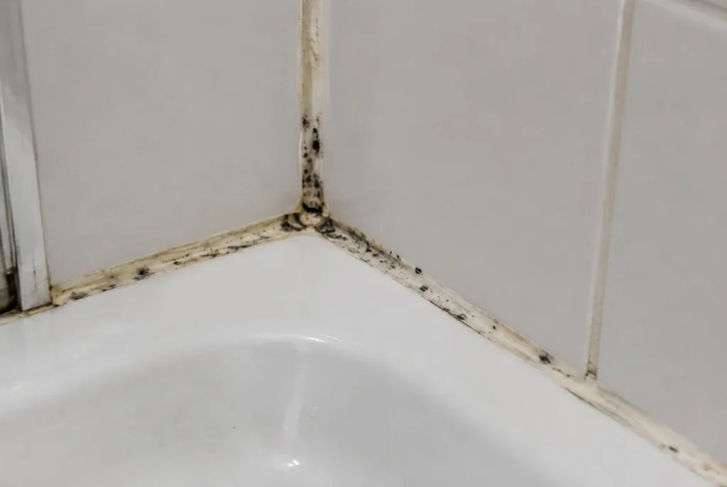 Kitbedrijf Zaandam – beschimmelde kitranden